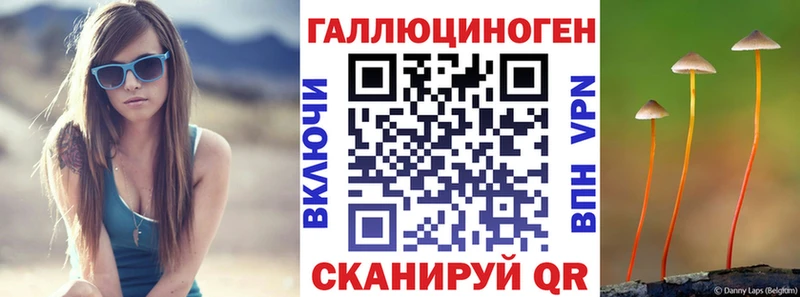 Галлюциногенные грибы Psilocybe  Александровск 
